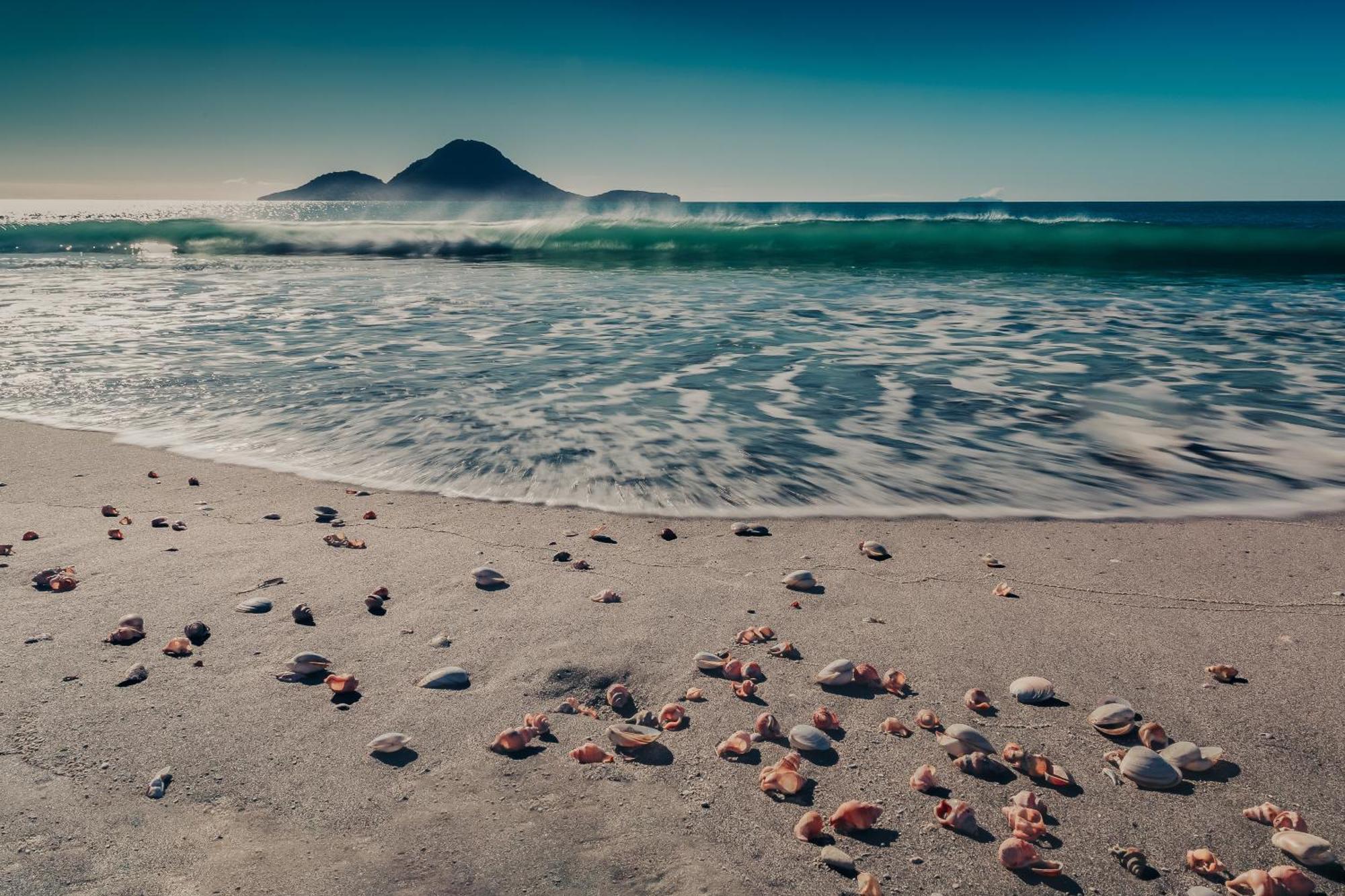 Sunrise Accommodation Whakatane Dış mekan fotoğraf